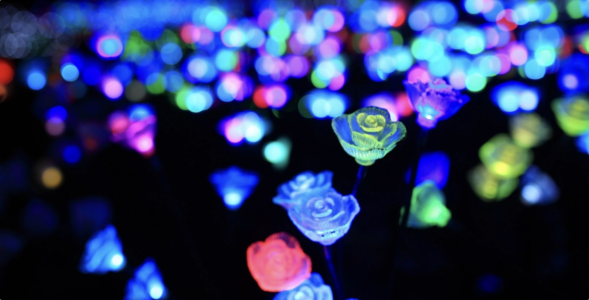 大隅のイルミネーション