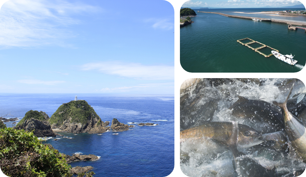 佐多岬、雄川の滝、高隅山系の風景写真